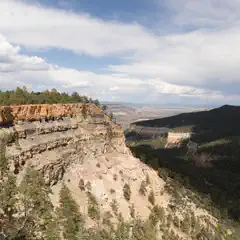 A canyon descends from a plateau covered with evergreen trees into a dark, forested valley.