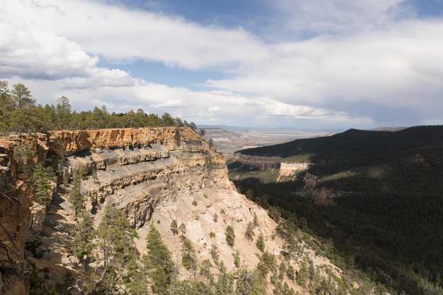 A canyon descends from a plateau covered with evergreen trees into a dark, forested valley.