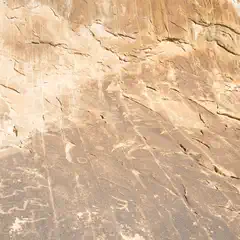 A rock face features numerous petroglyphs carved into its surface.