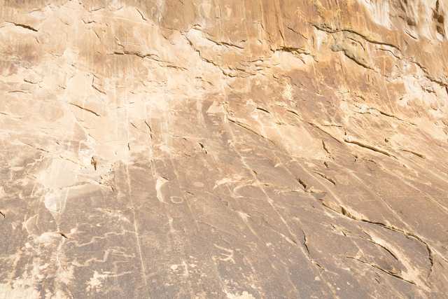 A rock face features numerous petroglyphs carved into its surface.
