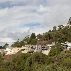 A hillside with several modern houses and dense trees.