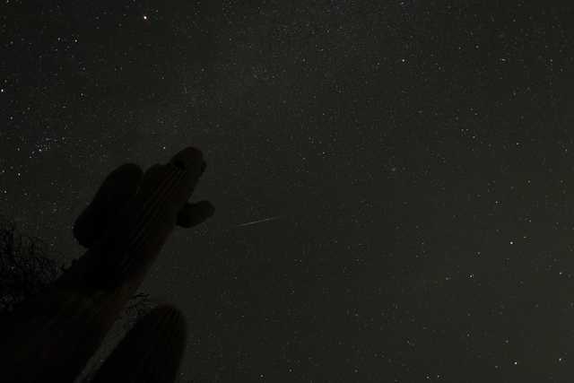 An orange streak is visible against a starry sky, with a cactus and its shadow silhouetted in the foreground.