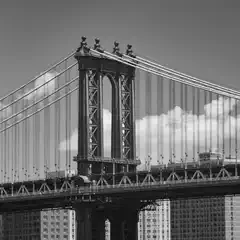 A suspension bridge spans across the frame, with tall buildings in the background.