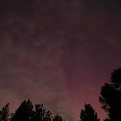 A night sky with a reddish-pink hue, filled with numerous stars and clouds, set against silhouettes of trees.