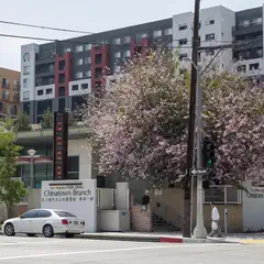 A tree with pink blossoms stands on a city street corner, near a building with a sign that reads "Chinatown Branch" and a car parked in front of it.