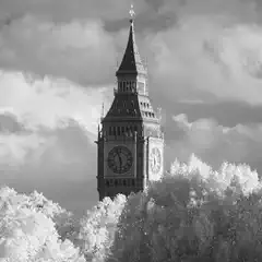 A Gothic-style clock tower rises above a canopy of trees against a cloudy sky.