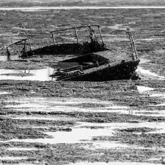 An old shipwreck lies half-submerged in mud flats, partially buried and covered with seaweed.