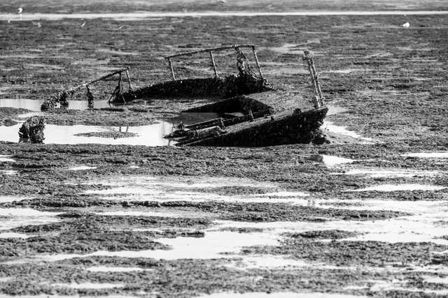 An old shipwreck lies half-submerged in mud flats, partially buried and covered with seaweed.