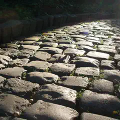 A sunlit cobblestone pathway bordered by a stone wall and greenery leads into the distance.