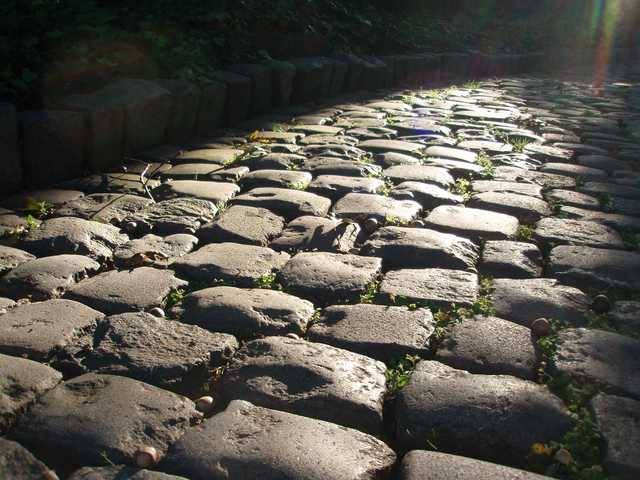 A sunlit cobblestone pathway bordered by a stone wall and greenery leads into the distance.