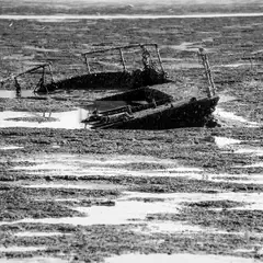 An old shipwreck lies half-submerged in mud flats, partially buried and covered with seaweed.