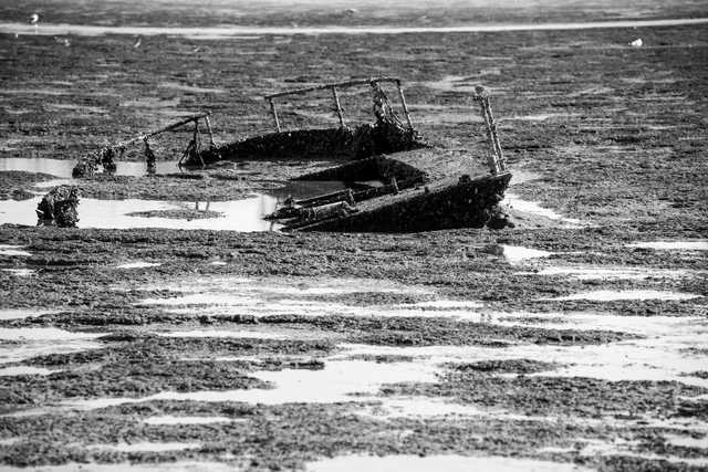 An old shipwreck lies half-submerged in mud flats, partially buried and covered with seaweed.