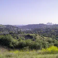 An open space with green hills and trees overlooks a city skyline with many buildings and skyscrapers.