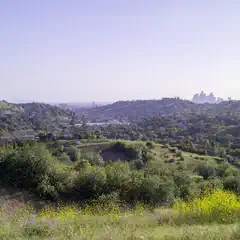 An open space with green hills and trees overlooks a city skyline with many buildings and skyscrapers.