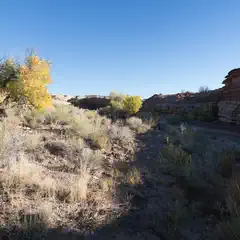 A rocky desert landscape with dry vegetation and a clear blue sky.