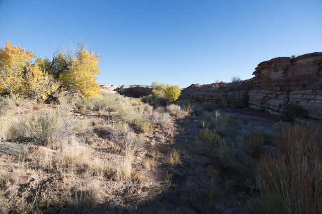 A rocky desert landscape with dry vegetation and a clear blue sky.