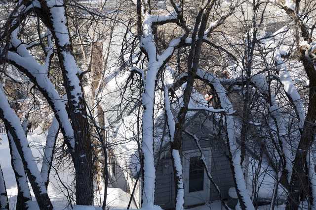 A house with gray siding and a white door is visible through snow-covered trees.