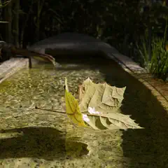 An autumn leaf floats on the surface of a shallow stone basin filled with water.