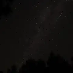 A clear night sky filled with stars, with a shooting star visible above the silhouetted treetops.