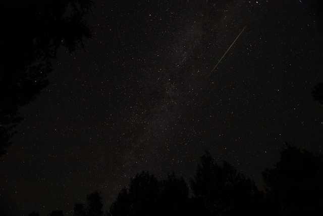 A clear night sky filled with stars, with a shooting star visible above the silhouetted treetops.