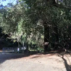A paved path runs through a wooded area, lined with trees and shrubs on either side.