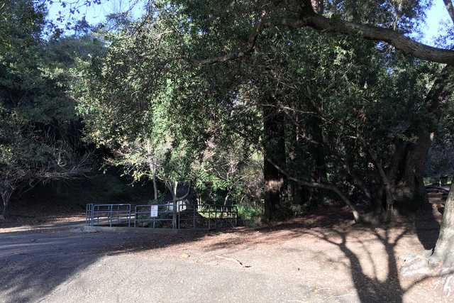 A paved path runs through a wooded area, lined with trees and shrubs on either side.