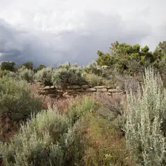 A stone wall runs through a dry, shrubby landscape with scattered trees under a cloudy sky.