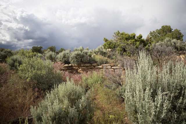 A stone wall runs through a dry, shrubby landscape with scattered trees under a cloudy sky.