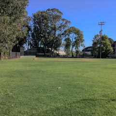A baseball field occupies a large grassy area with a backstop, trees, and a building visible in the distance.