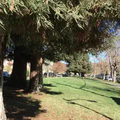 A grassy area is bordered by trees and a sidewalk, with cars parked along the street beyond.