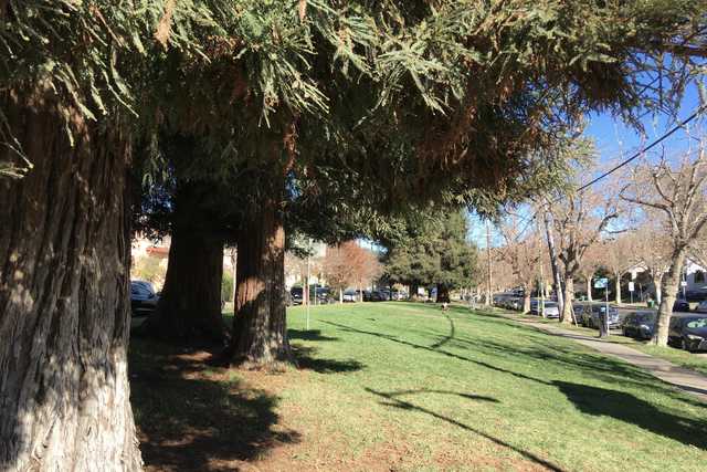 A grassy area is bordered by trees and a sidewalk, with cars parked along the street beyond.