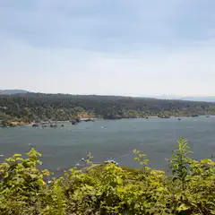 A large body of water with boats and distant land, viewed from an elevated vantage point overgrown with vegetation.