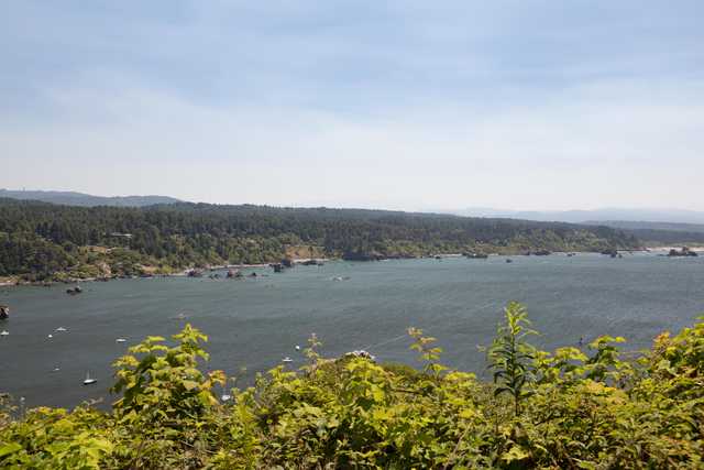 A large body of water with boats and distant land, viewed from an elevated vantage point overgrown with vegetation.