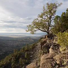 An arid landscape features a rocky outcropping, a tree growing from its edge, and distant mountains under a cloudy sky.