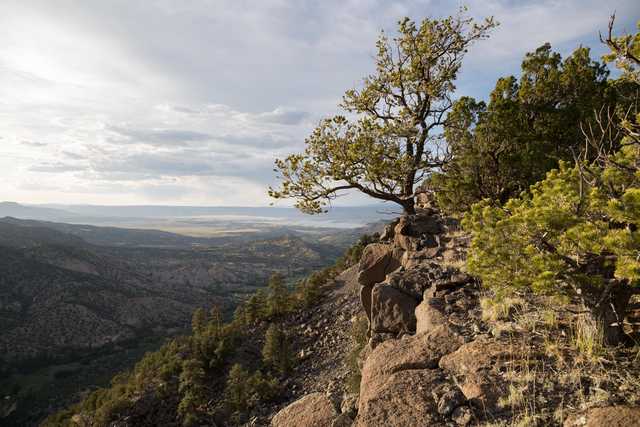 An arid landscape features a rocky outcropping, a tree growing from its edge, and distant mountains under a cloudy sky.
