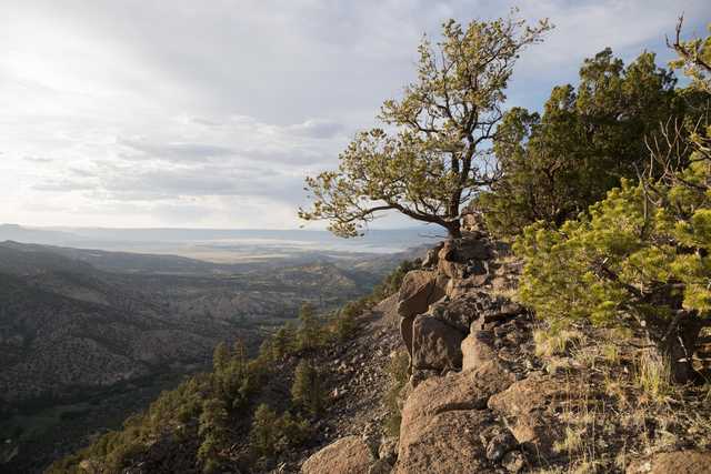 An arid landscape features a rocky outcropping, a tree growing from its edge, and distant mountains under a cloudy sky.