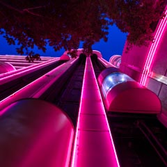 A vibrant pink neon-lit structure is illuminated against a dark blue sky, framed by tree branches overhead.