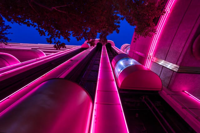 A vibrant pink neon-lit structure is illuminated against a dark blue sky, framed by tree branches overhead.