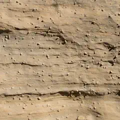 An orange-brown rock face features visible layers and small, rounded protrusions.