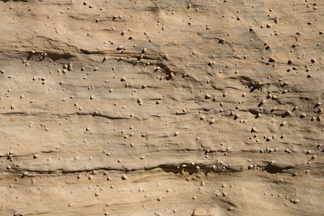 An orange-brown rock face features visible layers and small, rounded protrusions.