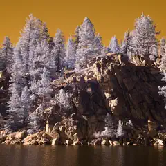 A rocky shoreline with tall evergreen trees stands against a warm, golden sky, reflecting in calm, still water.