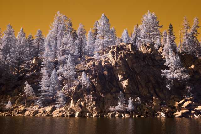 A rocky shoreline with tall evergreen trees stands against a warm, golden sky, reflecting in calm, still water.