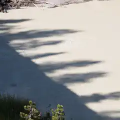 A murky body of water has a rippled surface that appears to be disturbed, likely due to strong currents or turbulent movement beneath the surface.