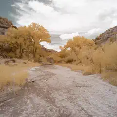 A dry riverbed with yellowed vegetation and rocky terrain under a partly cloudy sky.
