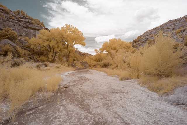 A dry riverbed with yellowed vegetation and rocky terrain under a partly cloudy sky.