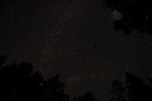 A night sky filled with stars and a shooting star streaking across it.