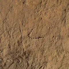 A sandstone cliff face features a line of small, shallow holes at its center.