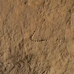 A sandstone cliff face features a line of small, shallow holes at its center.