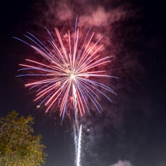 A burst of red, white, and blue fireworks illuminates a dark sky.