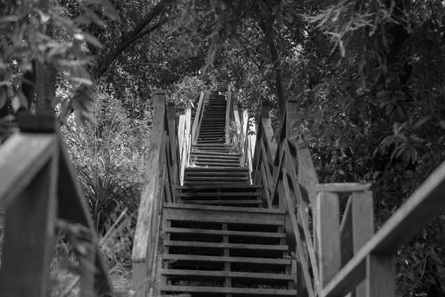 An outdoor staircase with wooden steps and railings leads upward through trees.
